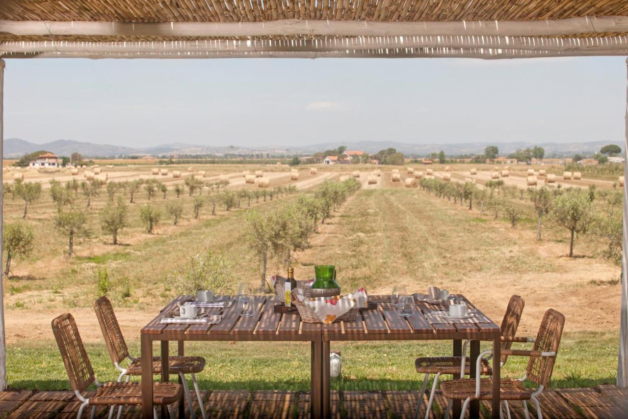 Casale Oliveta Villa Orbetello Eksteriør bilde